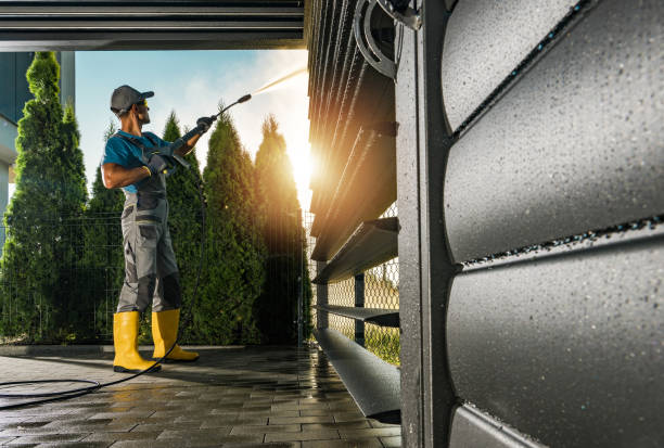 Best Vinyl Siding Pressure Washing in Lakeshire, MO